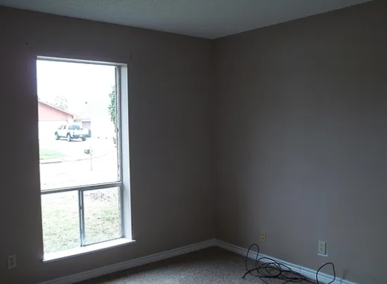 4111 Sleepy Hollow Ln - Photo 5 of 19