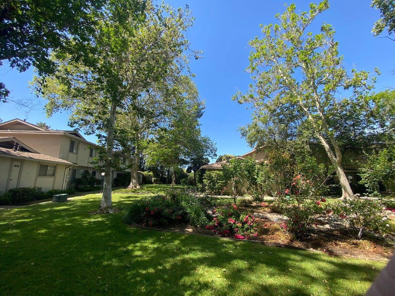 1567 Ivycreek Cir - Photo 2 of 21
