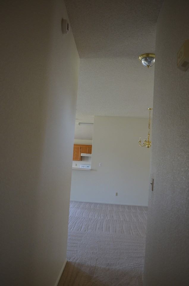 2521 Creek Dr - Photo 6 of 28