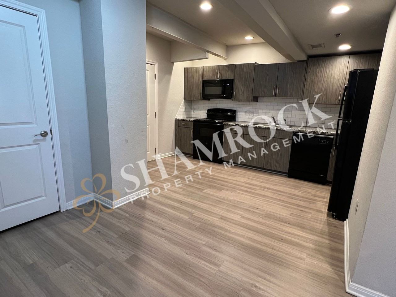 1307 Austin Ave #203 - Photo 4 of 13