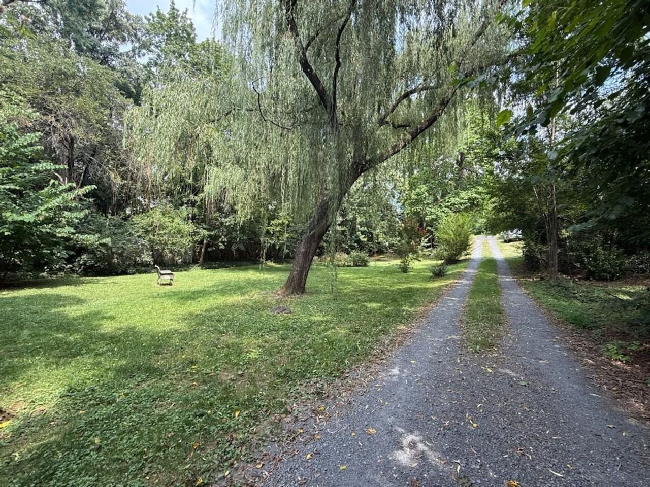 335 Hill St - Photo 5 of 21