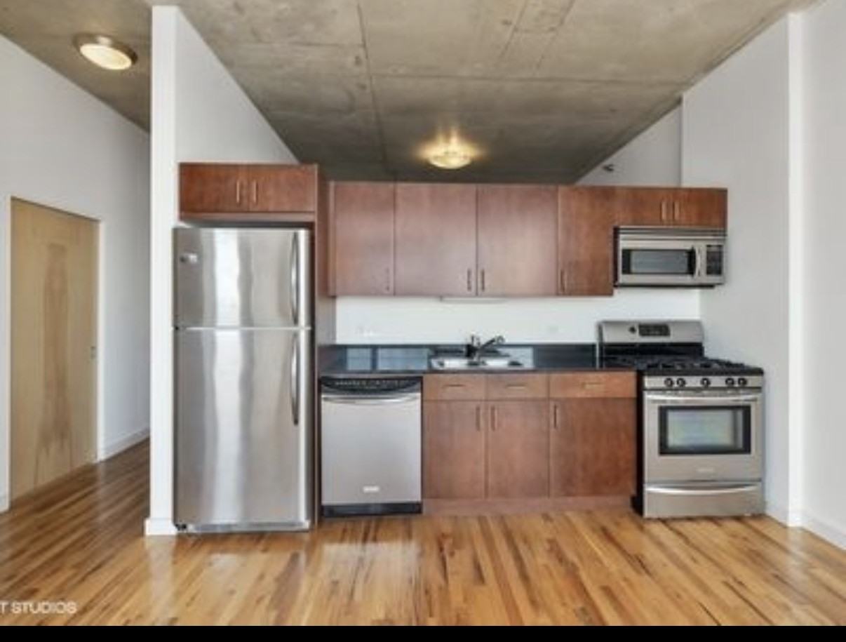 1720 S Michigan Ave #1612 - Photo 4 of 18