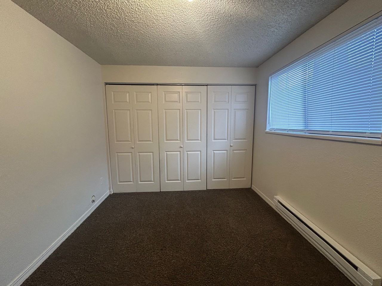 2101 Marigold St - Photo 5 of 17