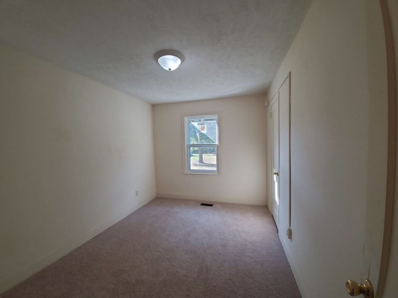 905 Fulton St - Photo 5 of 20