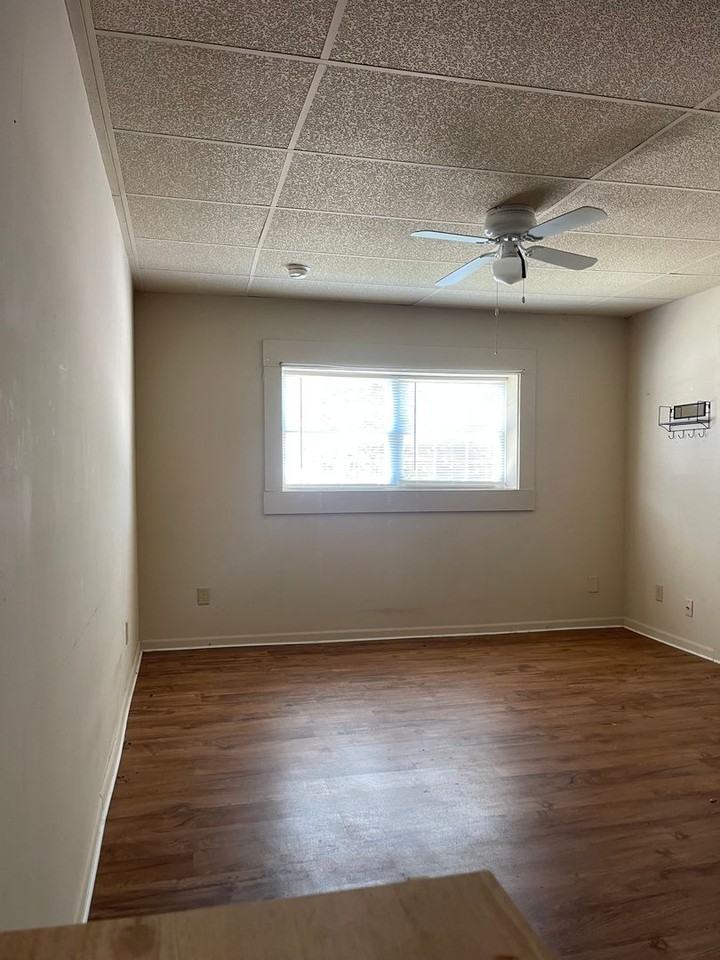 921 W Illinois St - Photo 4 of 5