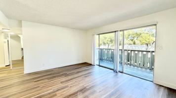 featured image of 1240 Alameda De Las Pulgas