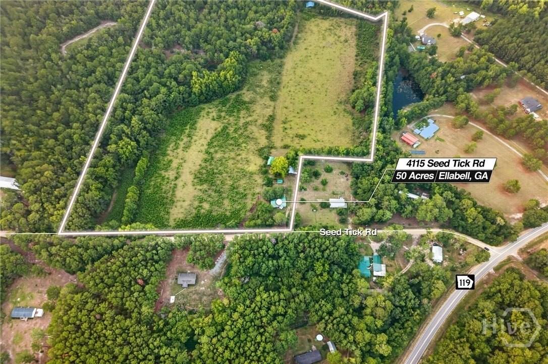 4115 Seed Tick Rd - Photo 3 of 45