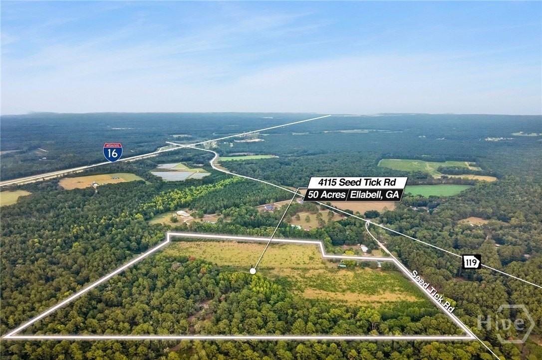 4115 Seed Tick Rd - Photo 4 of 45