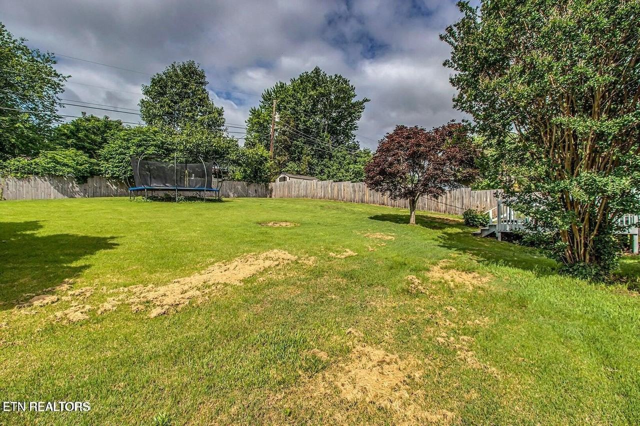 7753 Cranley Rd - Photo 4 of 39