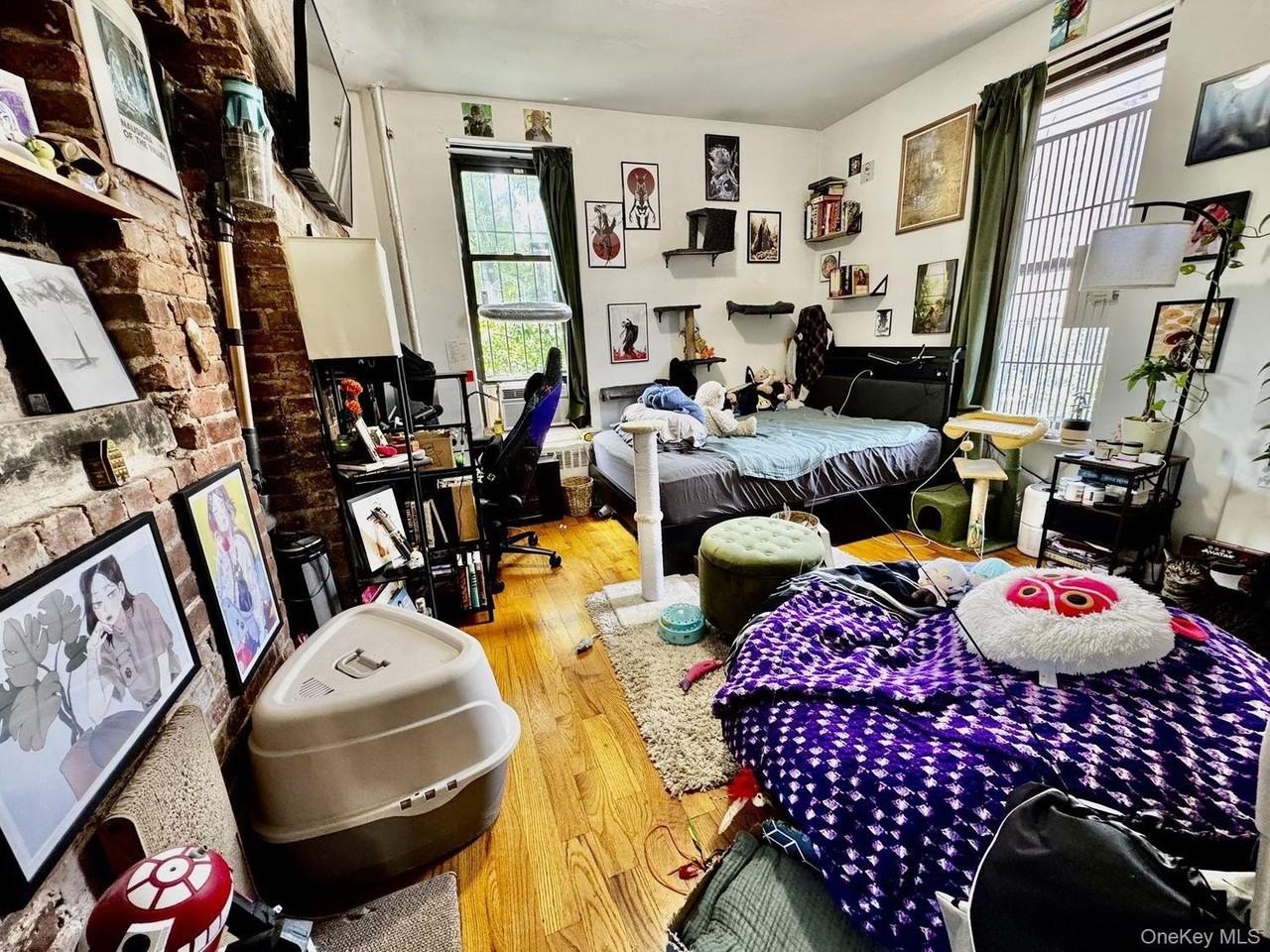 260 W 135th St #3A - Photo 2 of 16