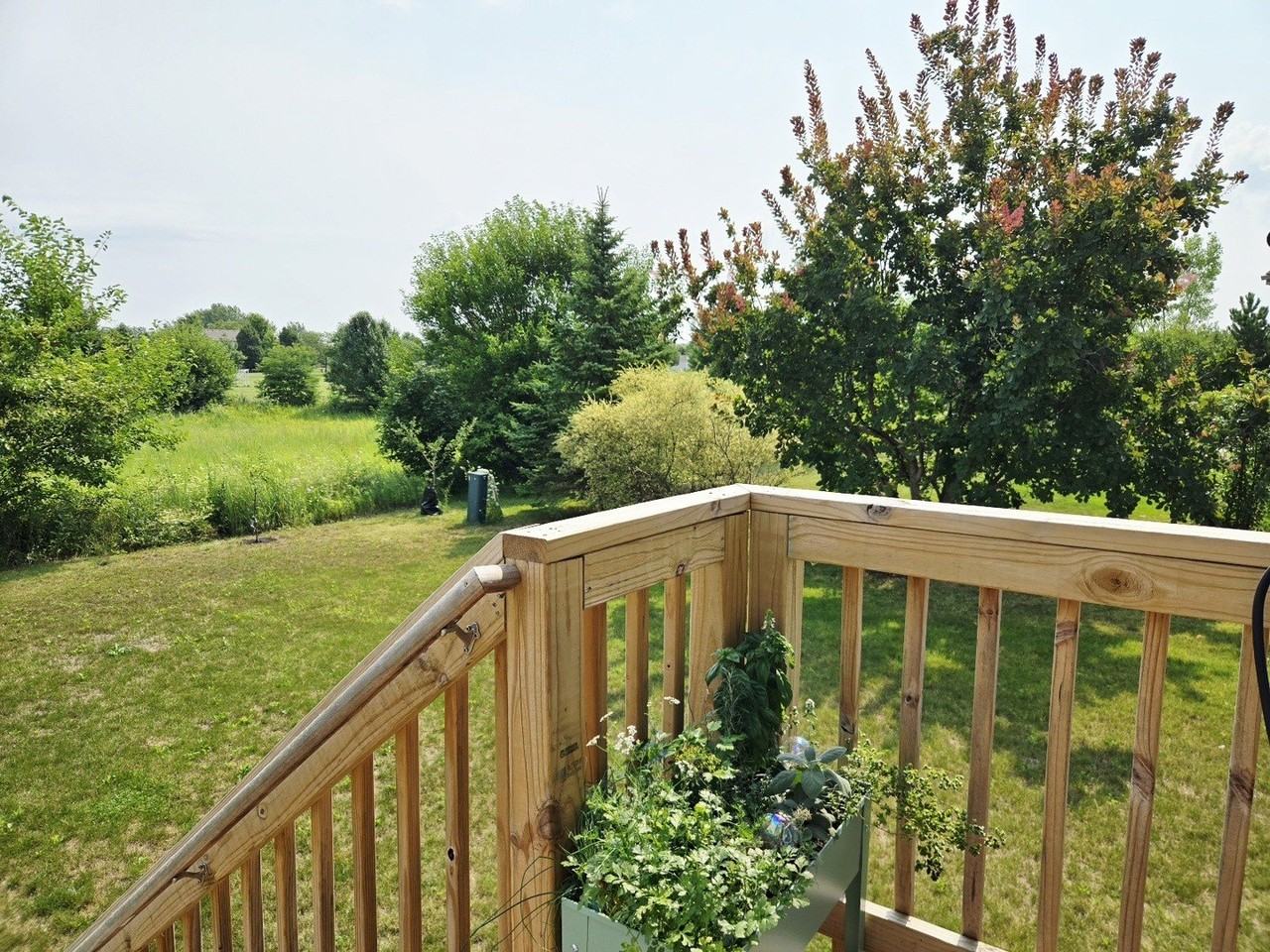 1747 Goldenrod Turn - Photo 4 of 39