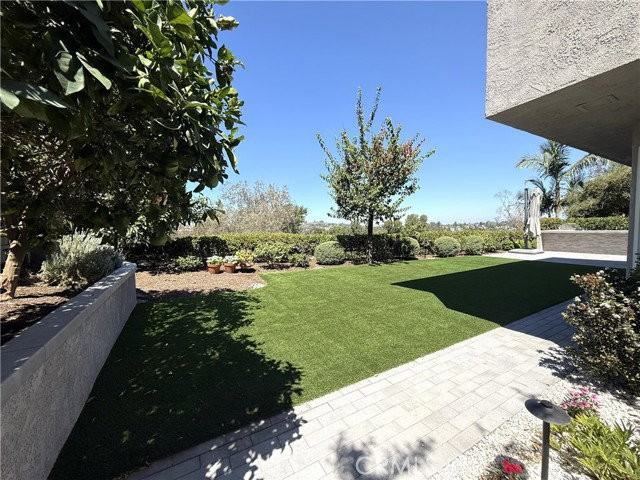 26977 Moro Azul - Photo 2 of 8