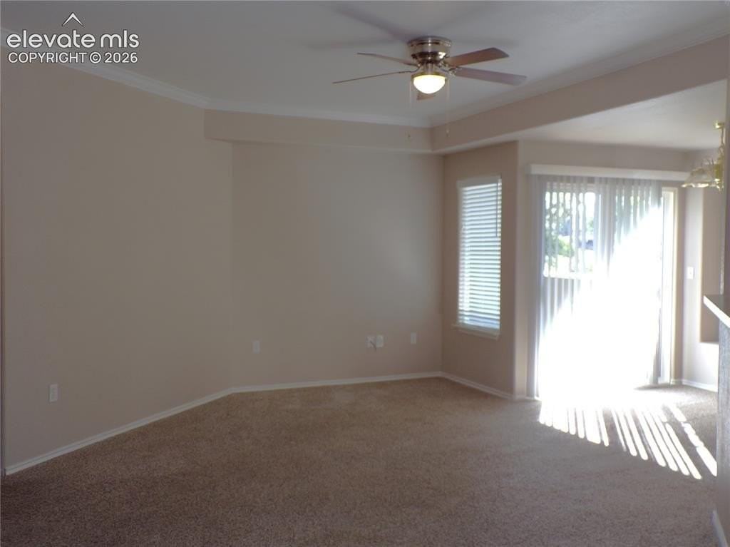 3815 Riviera Grv #101 - Photo 3 of 20