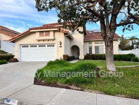 1161 Paseo Primavera - Photo 1 of 1