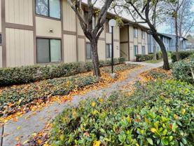 6292 Joaquin Murieta Ave - Photo 1 of 1