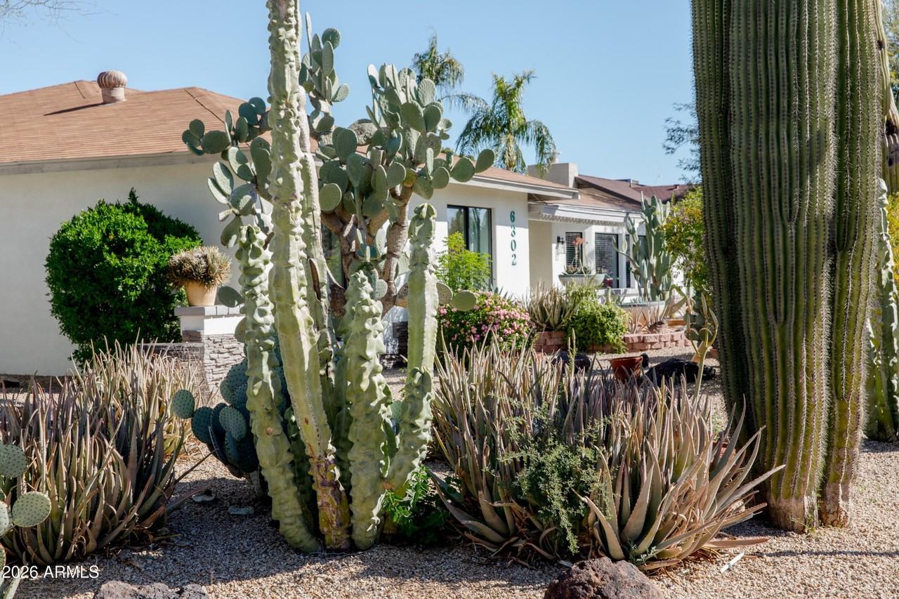 6302 E Winchcomb Dr - Photo 4 of 50