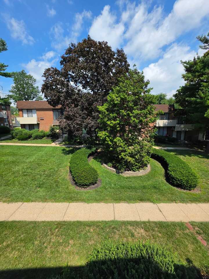 100 E Glenolden Ave #O15 - Photo 3 of 14