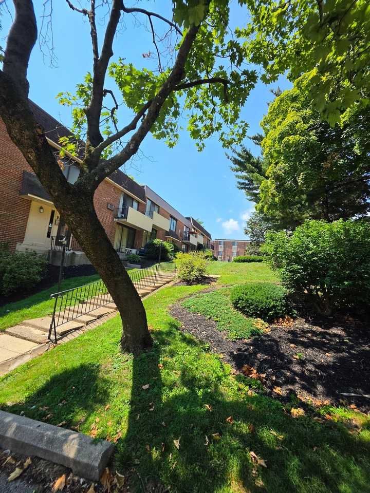 100 E Glenolden Ave #O15 - Photo 6 of 14