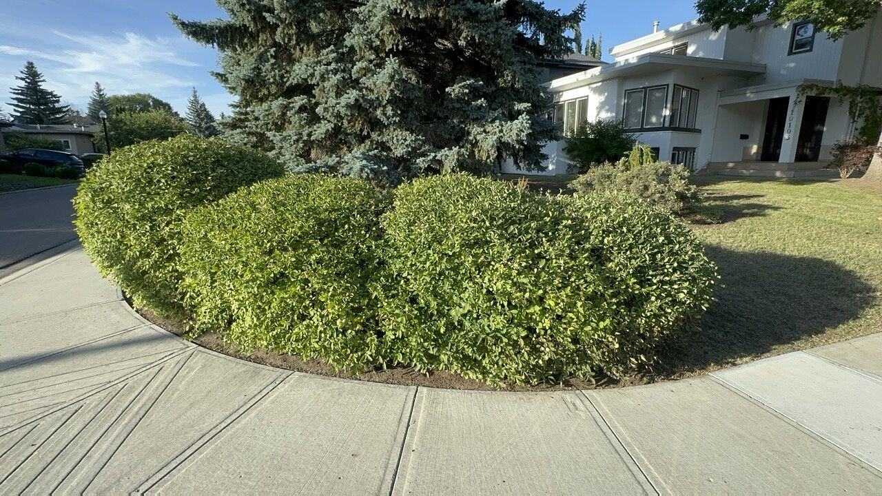 10103 137 St Nw - Photo 2 of 50