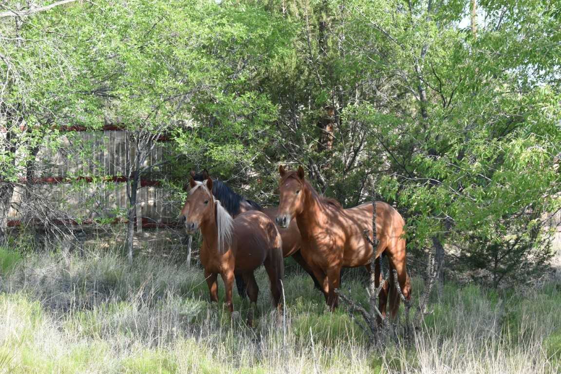 72 Camino De Las Huertas #NA - Photo 5 of 21