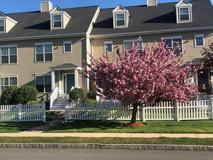 Pomeworth Corner - Photo 1 of 1