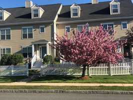 featured image of 22 22 - 26 Pomeworth Street