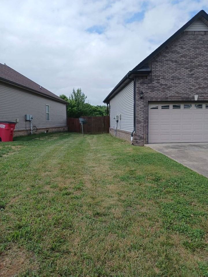 1486 Cobra Ln - Photo 5 of 39