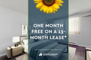 featured image of 245 Yeomans St