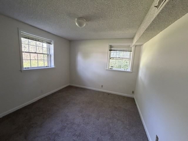 2900 Moss Spring Dr #1 - Photo 6 of 18