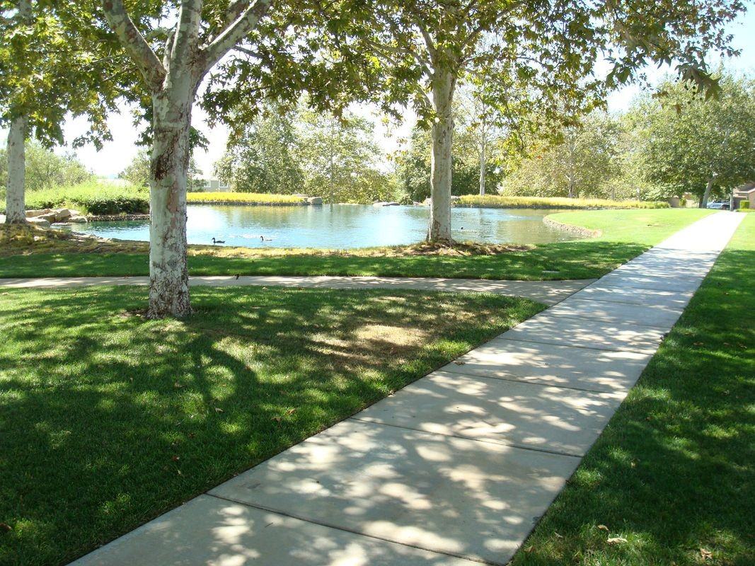 38539 Divot Dr - Photo 3 of 8