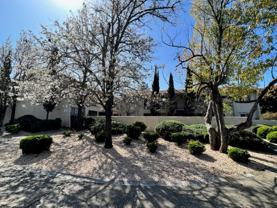 1337 Monte Vista Avenue - Photo 1 of 1