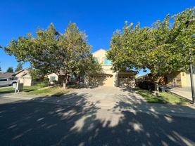 1017 Halidon Way - Photo 1 of 1