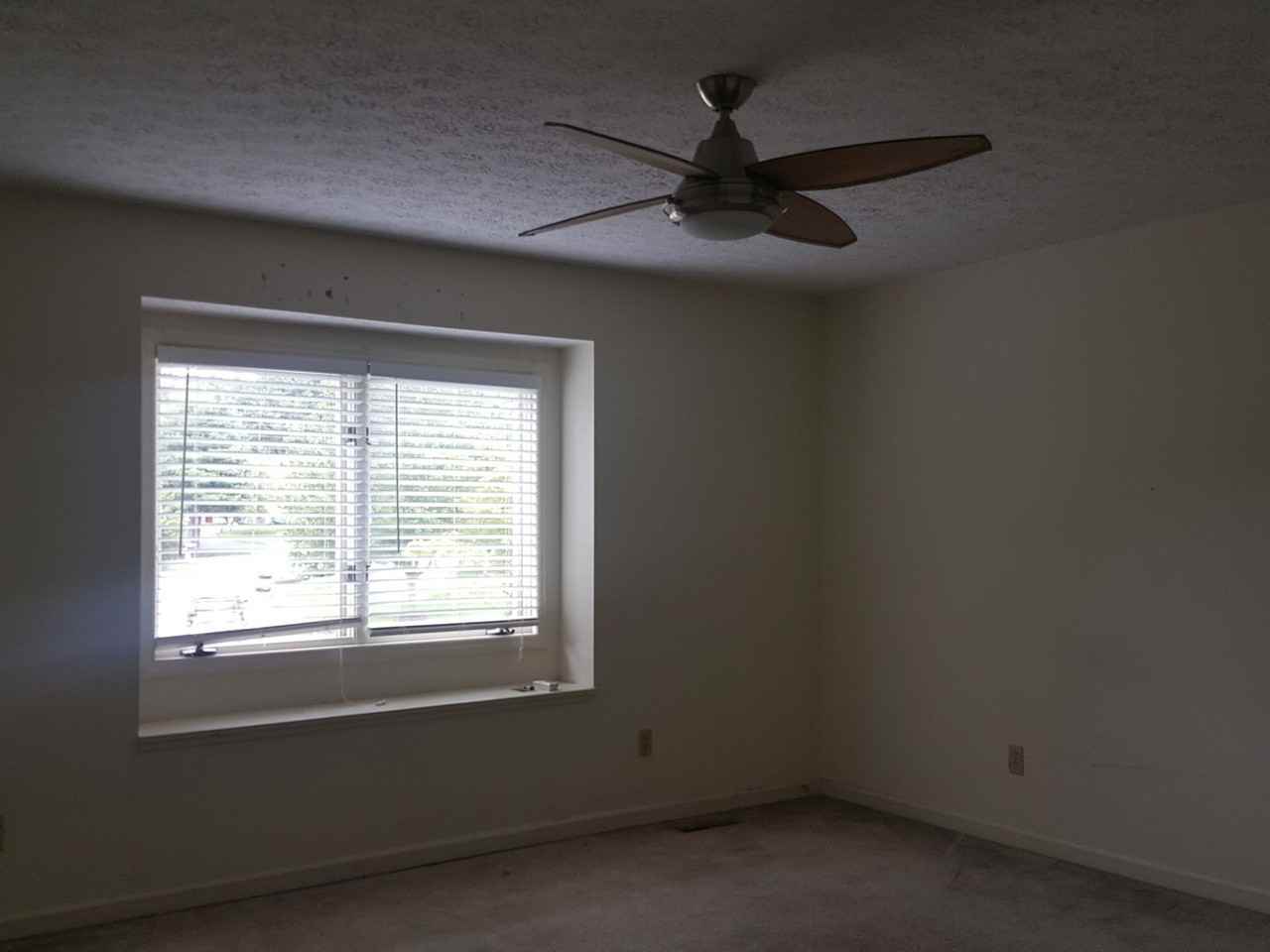 113 Silverleaf Ln - Photo 2 of 17