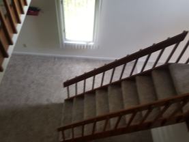 113 Silverleaf Ln - Photo 1 of 1