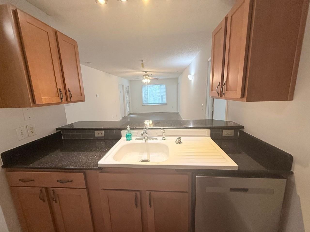 1511 Graduate Ln - Photo 4 of 13