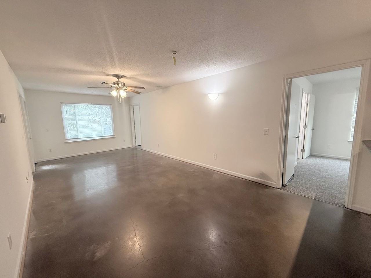 1511 Graduate Ln - Photo 6 of 13