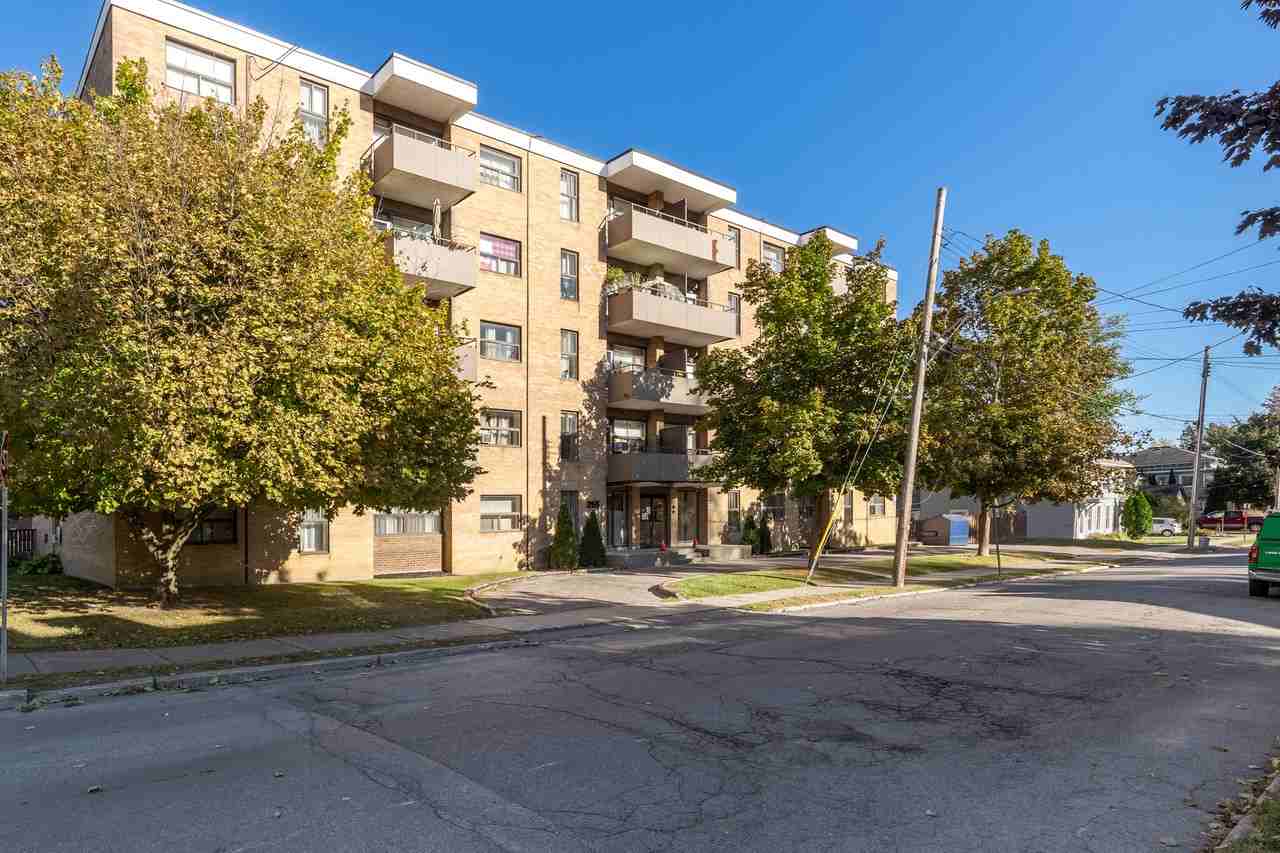 255 George St. - Photo 3 of 10