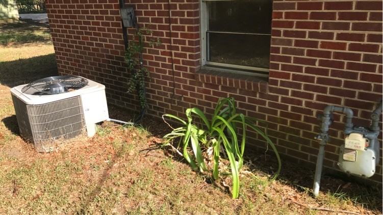 709 Center St #1 - Photo 2 of 14
