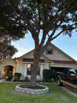 18210 Park Sage Ct - Photo 1 of 1