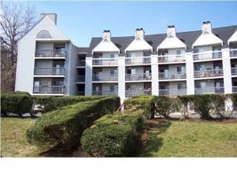 featured image of 1243 Cedars Ct ##B/24