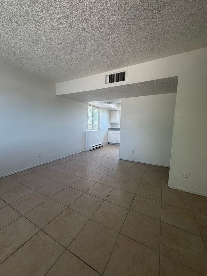 330 E Corona Rd #2101 - Photo 4 of 13