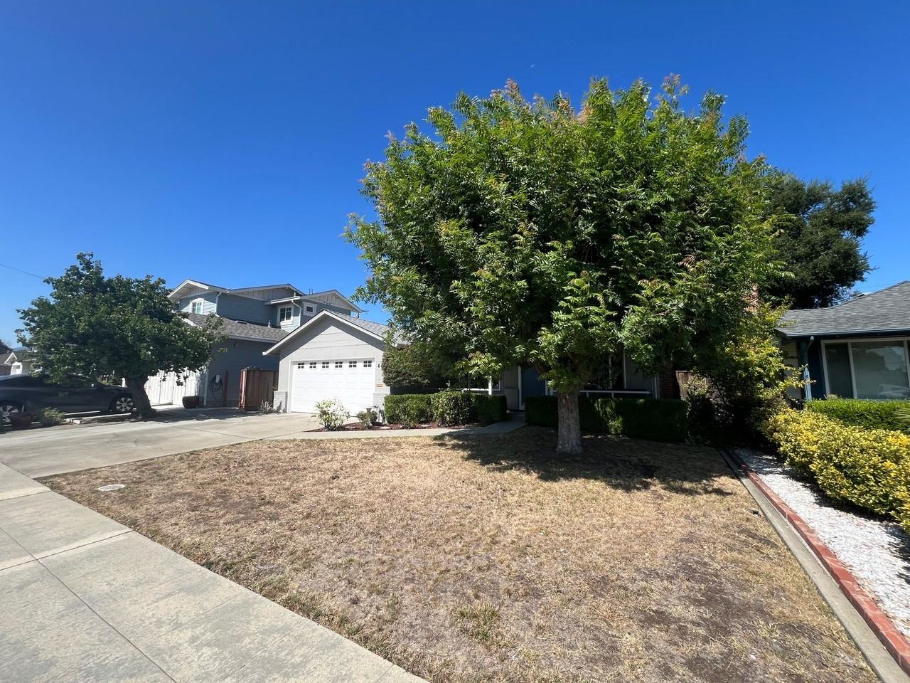 467 Novato Ave - Photo 3 of 19