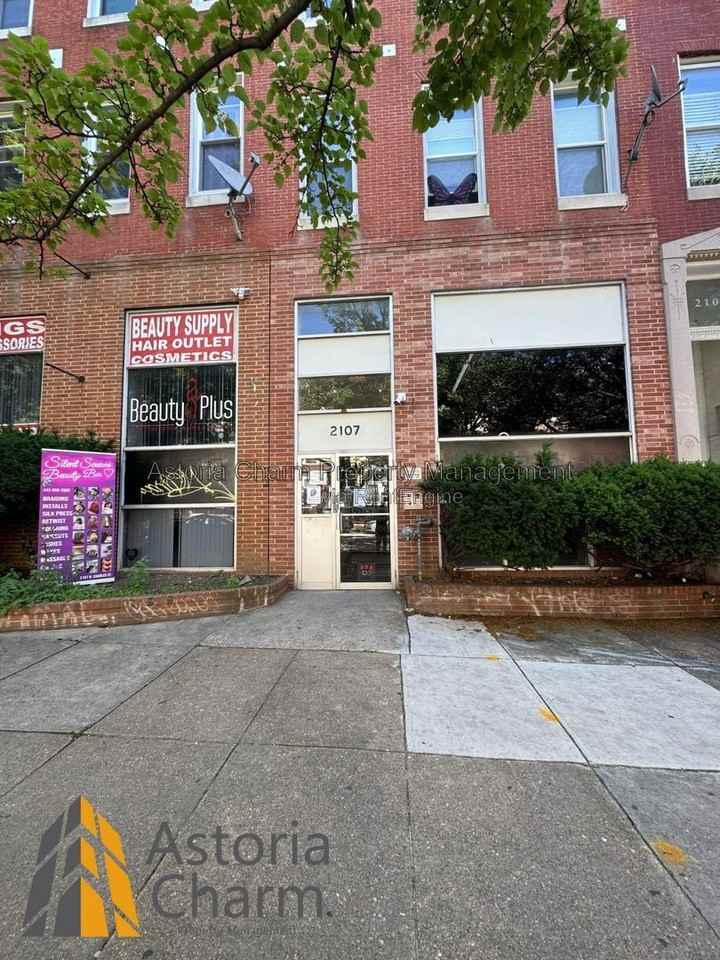 2107 N Charles St #1L - Photo 3 of 13
