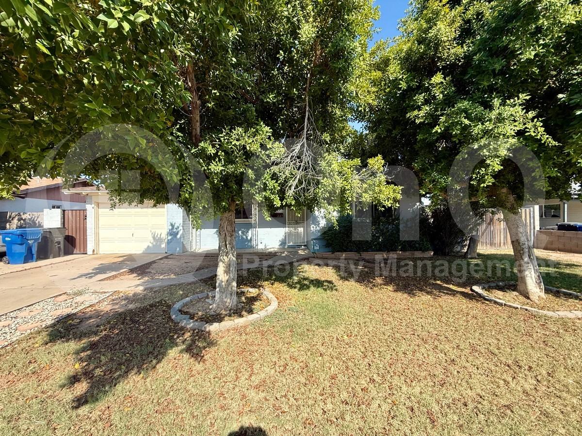 337 N Williams - Photo 2 of 17