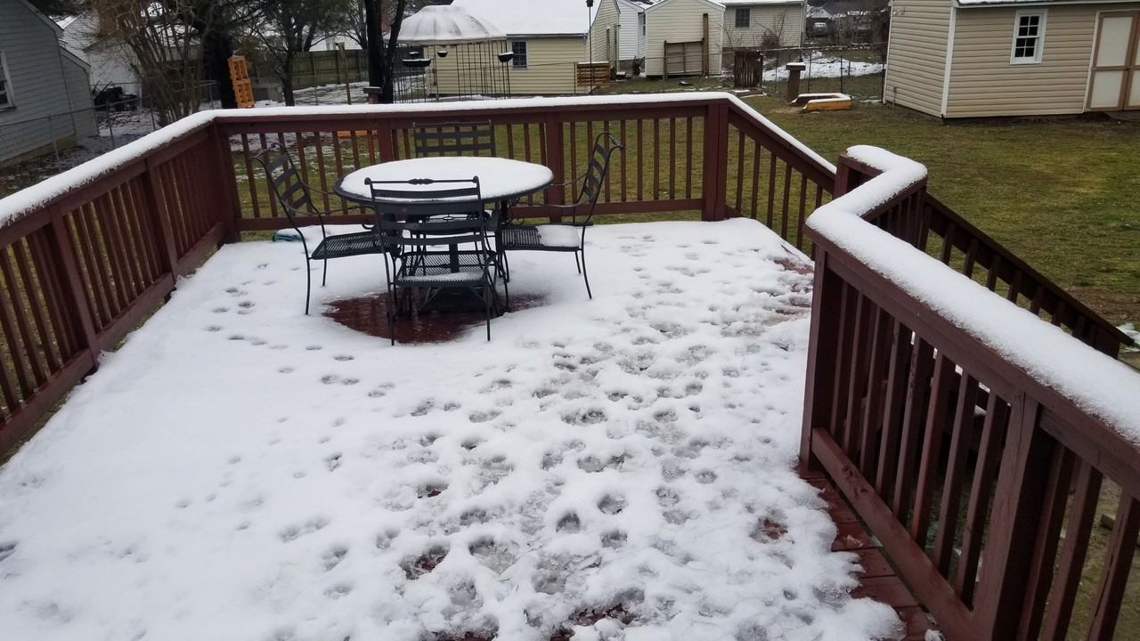 6538 Tammy Ln #NA - Photo 3 of 16