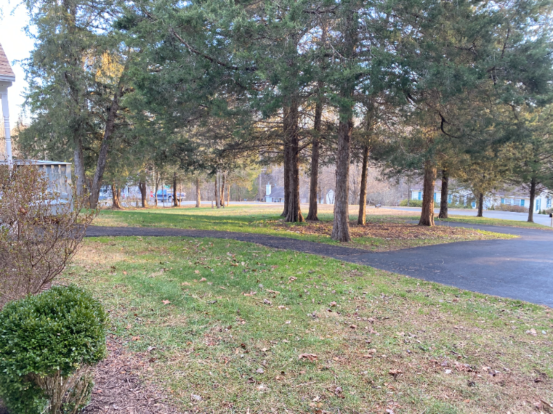296 Morning Glory Rd - Photo 2 of 16
