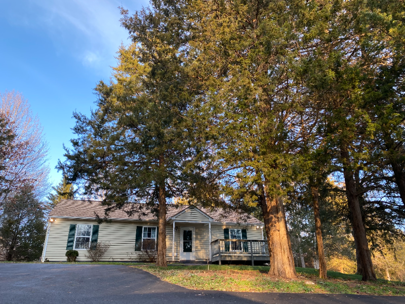 296 Morning Glory Rd - Photo 3 of 16