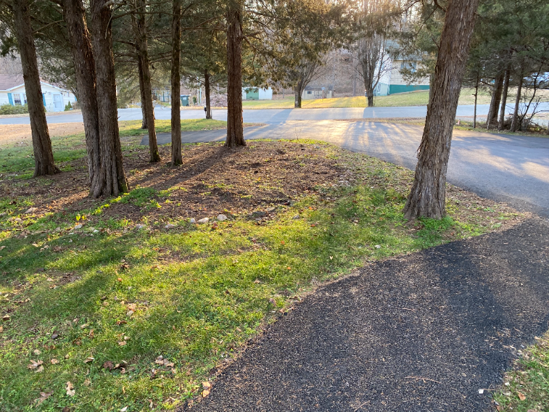 296 Morning Glory Rd - Photo 4 of 16