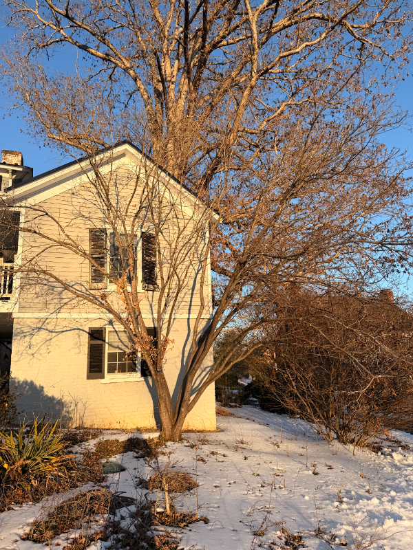 154 Garland Ave - Photo 5 of 24