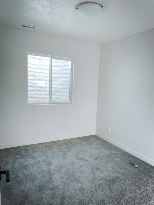 4259 S Steele Creek Ct - Photo 4 of 9